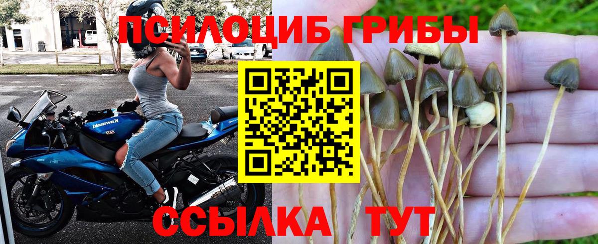 Лыткарино  Галлюциногенные грибы GOLDEN TEACHER  Вход с VPN 